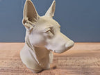 Belgischer Malinois Büste / Realistic Belgian Malinois Bust – Handbemalt & Detailliert Fehn-factory.de