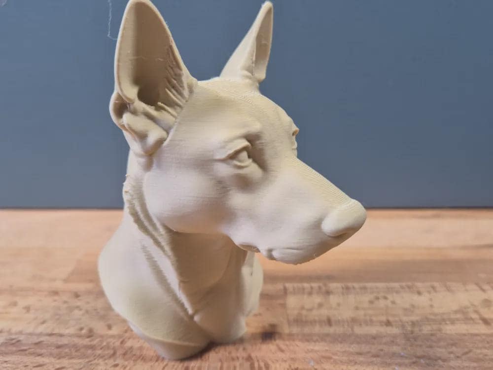 Belgischer Malinois Büste / Realistic Belgian Malinois Bust – Handbemalt & Detailliert Fehn-factory.de