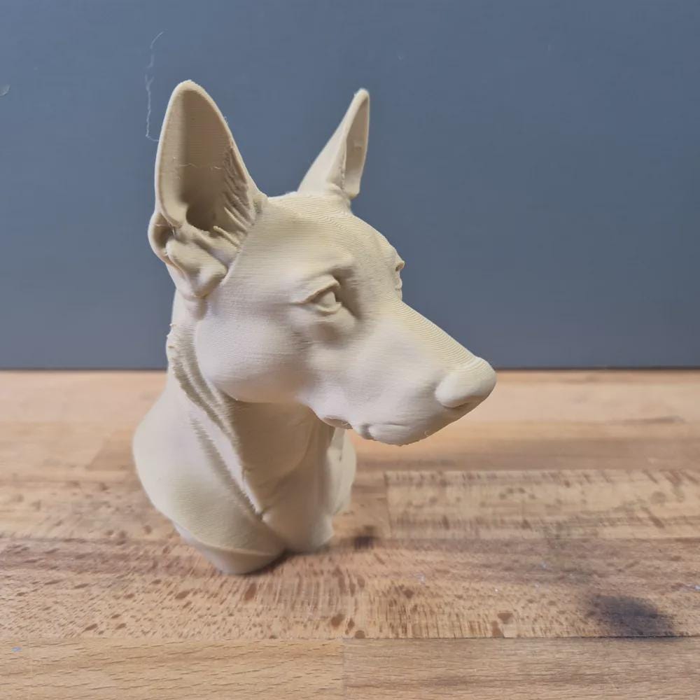 Belgischer Malinois Büste / Realistic Belgian Malinois Bust – Handbemalt & Detailliert Fehn-factory.de