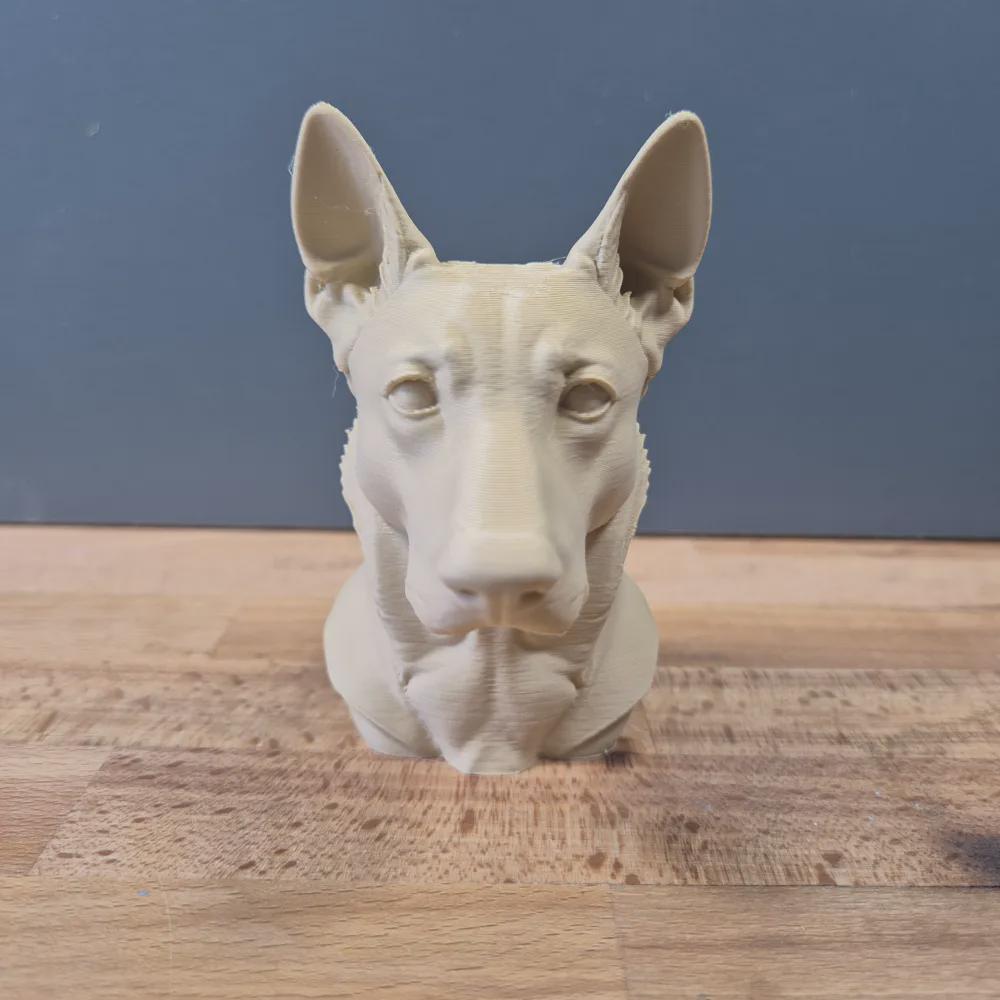 Belgischer Malinois Büste / Realistic Belgian Malinois Bust – Handbemalt & Detailliert Fehn-factory.de