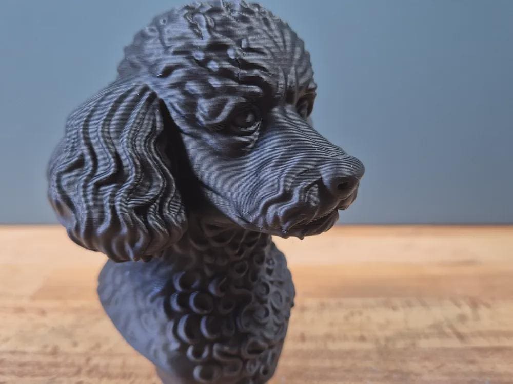 Miniaturpudelbüste / Realistic Miniature Poodle Bust – Handbemalt & Detailliert Fehn-factory.de