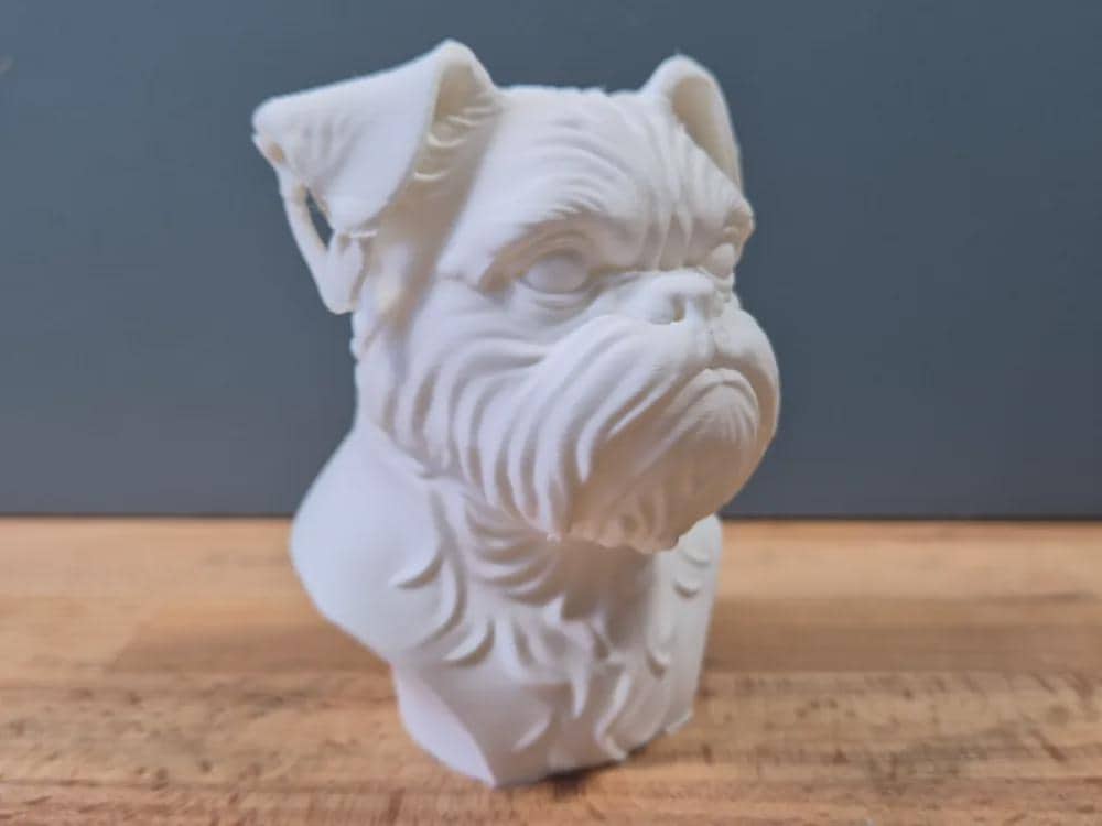 Brüsseler Griffon Büste / Realistic Brussels Griffon Bust – Handbemalt & Detailliert Fehn-factory.de
