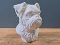 Brüsseler Griffon Büste / Realistic Brussels Griffon Bust – Handbemalt & Detailliert Fehn-factory.de