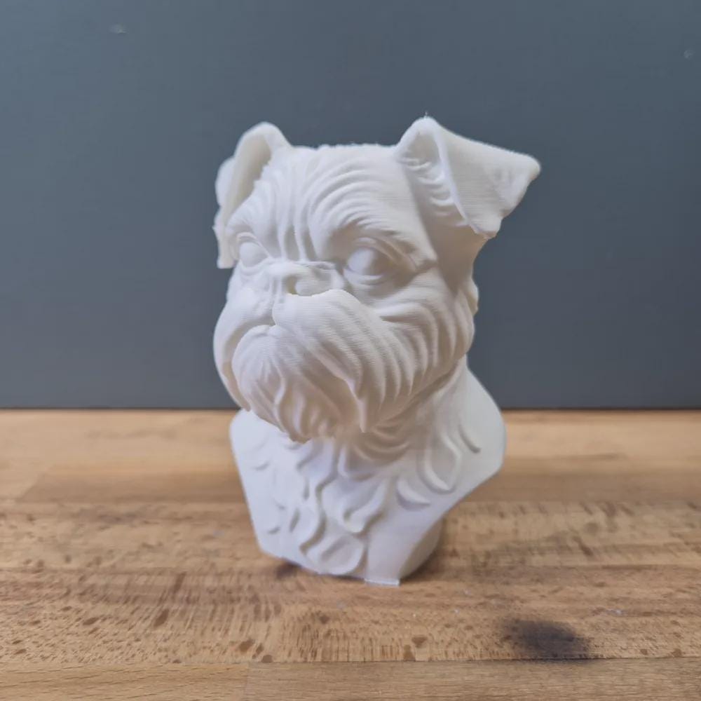 Brüsseler Griffon Büste / Realistic Brussels Griffon Bust – Handbemalt & Detailliert Fehn-factory.de