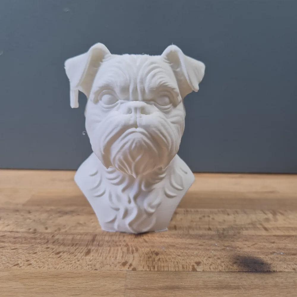 Brüsseler Griffon Büste / Realistic Brussels Griffon Bust – Handbemalt & Detailliert Fehn-factory.de