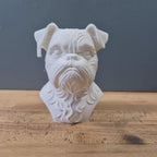 Brüsseler Griffon Büste / Realistic Brussels Griffon Bust – Handbemalt & Detailliert Fehn-factory.de