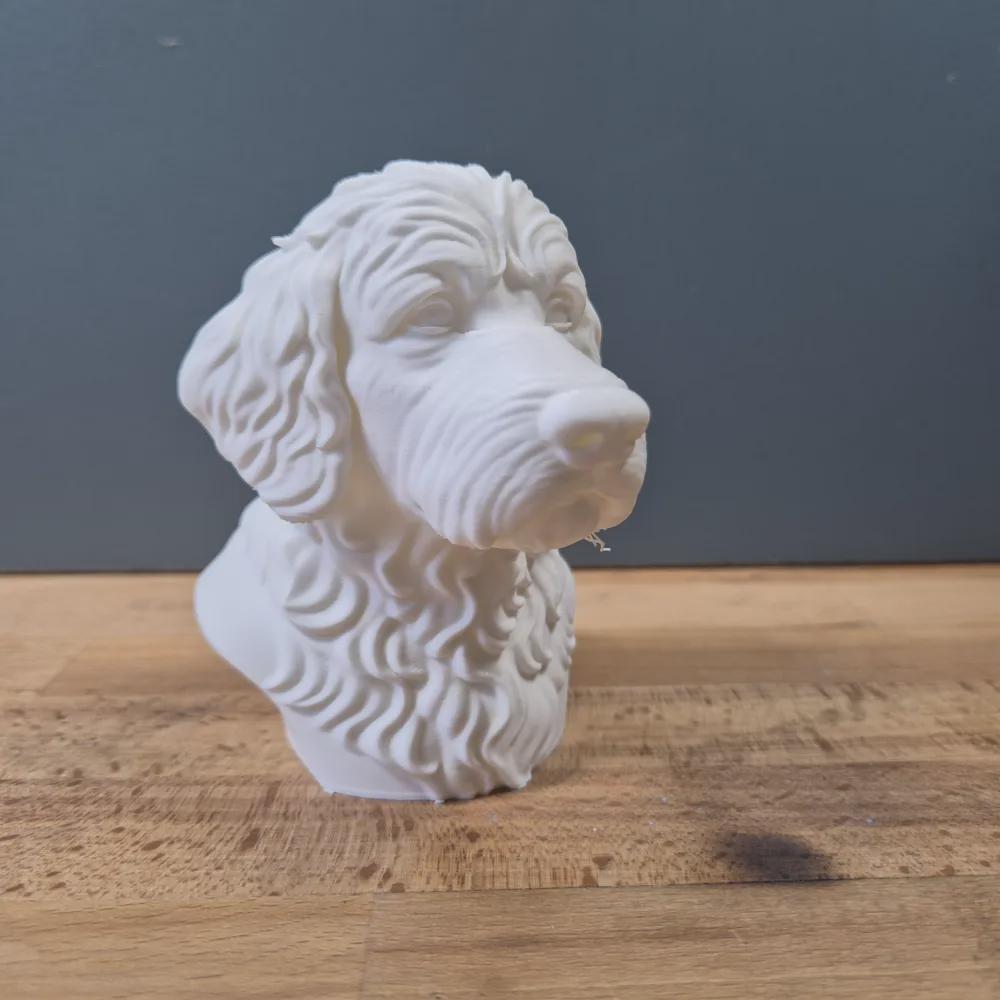 Newfypoo Büste / Realistic Newfypoo Bust – Handbemalt & Detailliert Fehn-factory.de