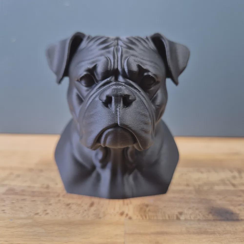 Amerikanische Bulldogge Büste / Realistic American Bulldog Bust – Handbemalt & Detailliert Fehn-factory.de