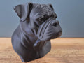 Amerikanische Bulldogge Büste / Realistic American Bulldog Bust – Handbemalt & Detailliert Fehn-factory.de
