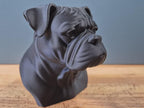 Amerikanische Bulldogge Büste / Realistic American Bulldog Bust – Handbemalt & Detailliert Fehn-factory.de