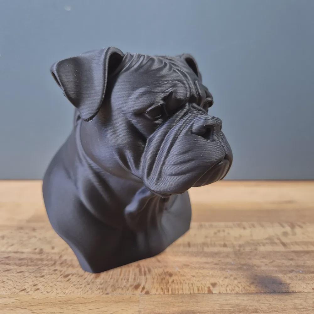 Amerikanische Bulldogge Büste / Realistic American Bulldog Bust – Handbemalt & Detailliert Fehn-factory.de