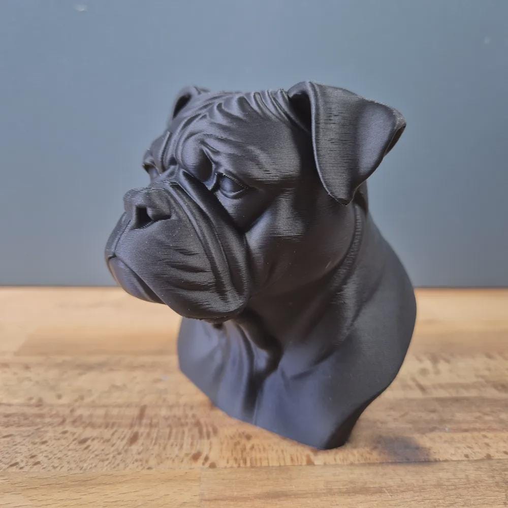 Amerikanische Bulldogge Büste / Realistic American Bulldog Bust – Handbemalt & Detailliert Fehn-factory.de
