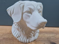 Nova Scotia Duck Tolling Retriever Büste / Realistic Nova Scotia Duck Tolling Retriever Bust – Handbemalt & Detailliert Fehn-factory.de