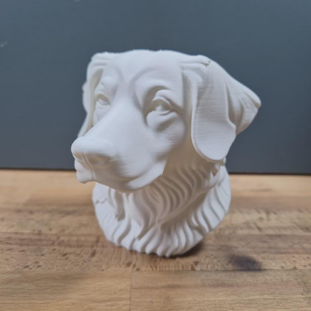 Nova Scotia Duck Tolling Retriever Büste / Realistic Nova Scotia Duck Tolling Retriever Bust – Handbemalt & Detailliert Fehn-factory.de