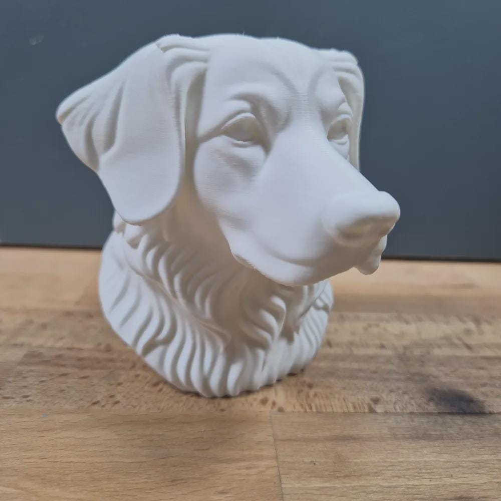 Nova Scotia Duck Tolling Retriever Büste / Realistic Nova Scotia Duck Tolling Retriever Bust – Handbemalt & Detailliert Fehn-factory.de