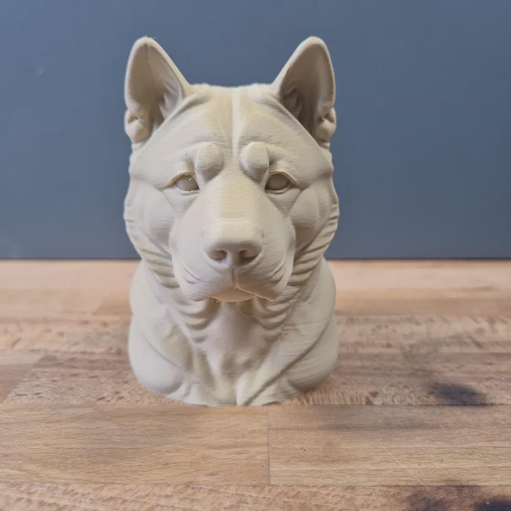Amerikanischer Akita Büste / Realistic American Akita Bust – Handbemalt & Detailliert Fehn-factory.de