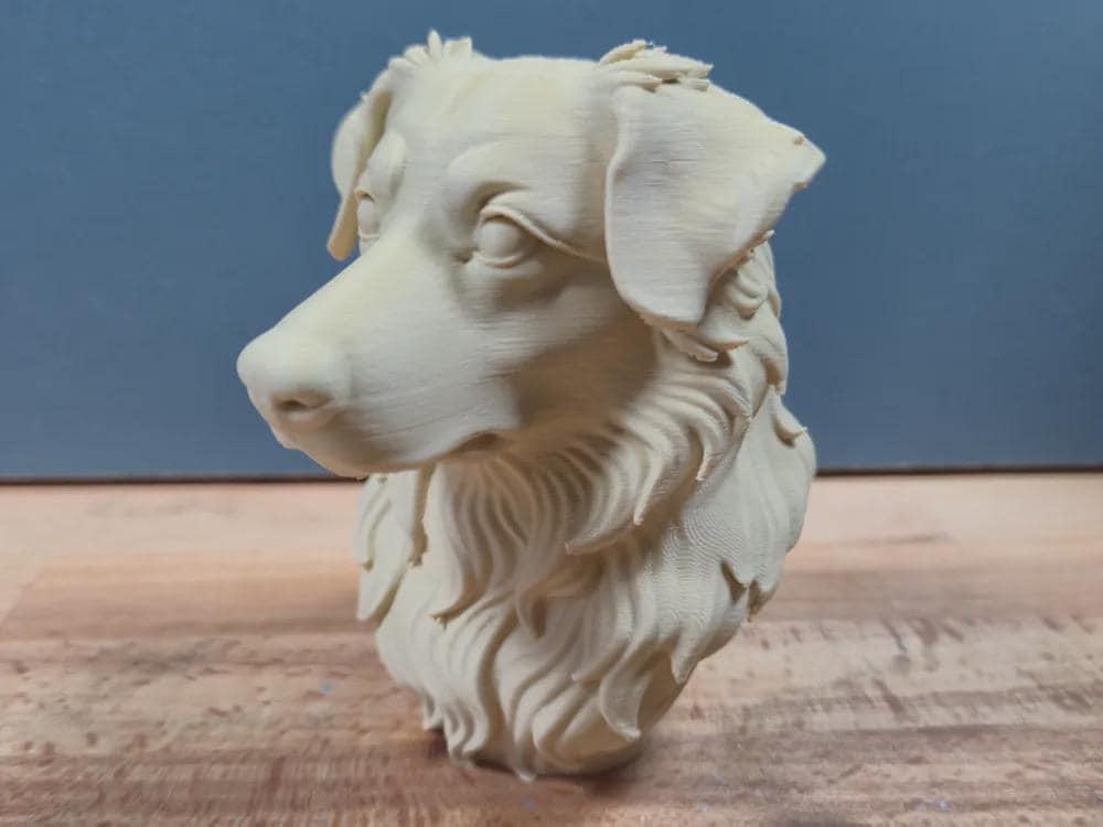 Australian Shepherd Büste / Realistic Australian Shepherd Bust – Handbemalt & Detailliert Fehn-factory.de