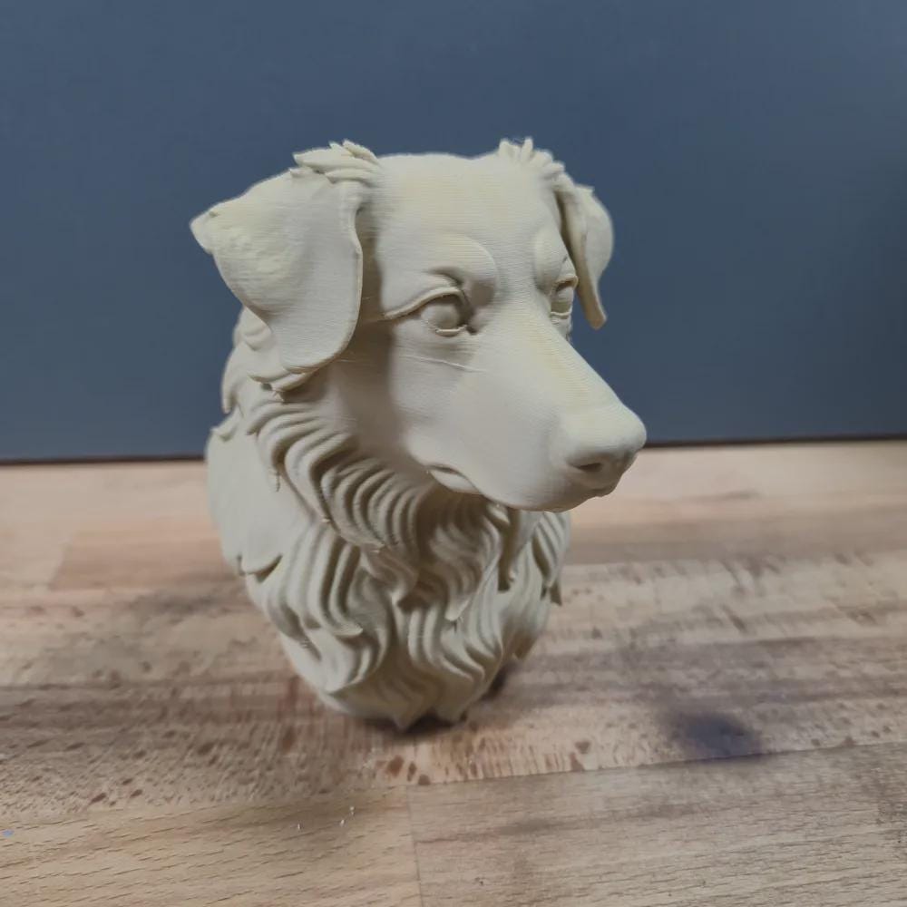 Australian Shepherd Büste / Realistic Australian Shepherd Bust – Handbemalt & Detailliert Fehn-factory.de