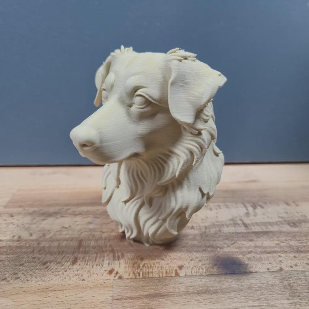 Australian Shepherd Büste / Realistic Australian Shepherd Bust – Handbemalt & Detailliert Fehn-factory.de