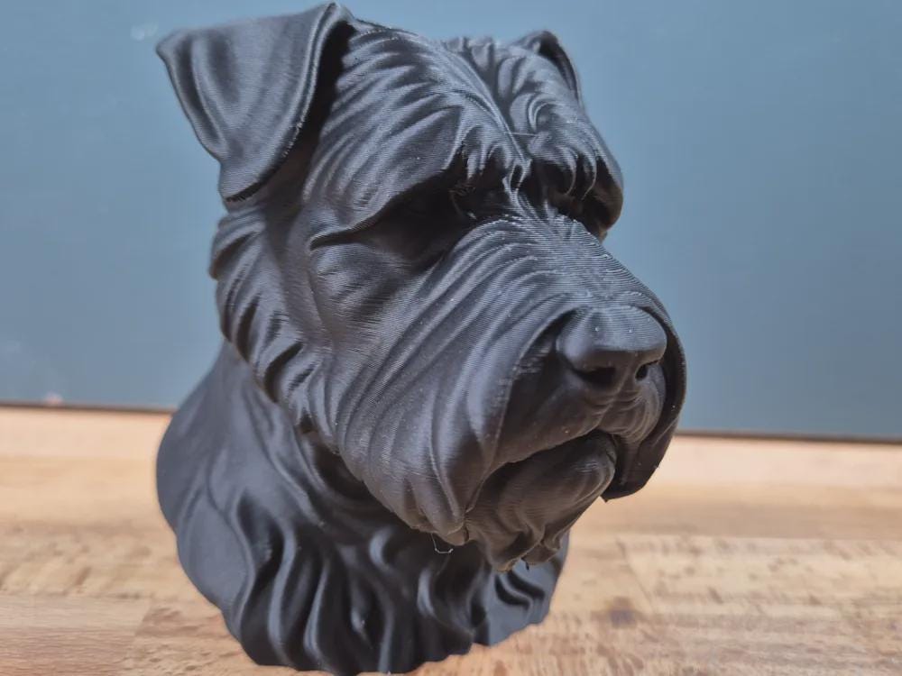 Bouvier des Flandres Büste / Realistic Bouvier des Flandres Bust – Handbemalt & Detailliert Fehn-factory.de