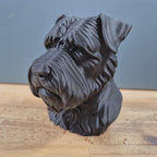 Bouvier des Flandres Büste / Realistic Bouvier des Flandres Bust – Handbemalt & Detailliert Fehn-factory.de