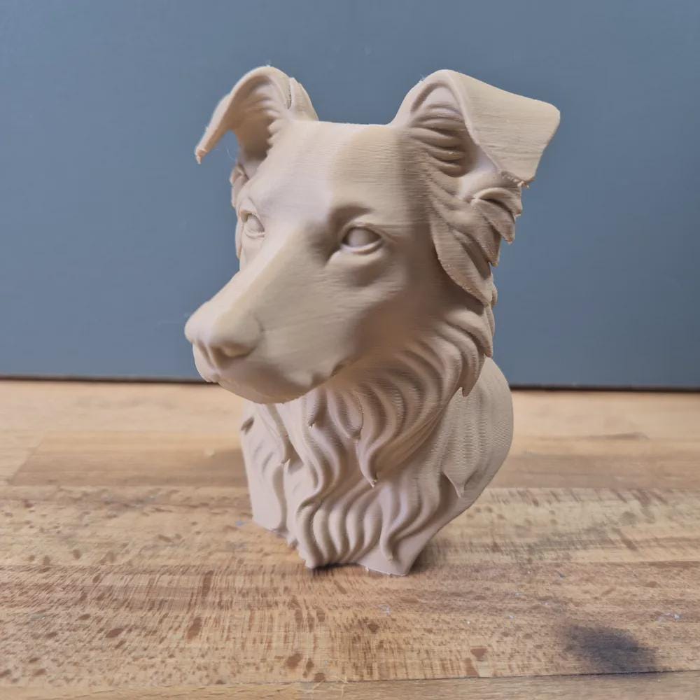 Border Collie Büste / Realistic Border Collie Bust – Handbemalt & Detailliert Fehn-factory.de