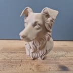 Border Collie Büste / Realistic Border Collie Bust – Handbemalt & Detailliert Fehn-factory.de
