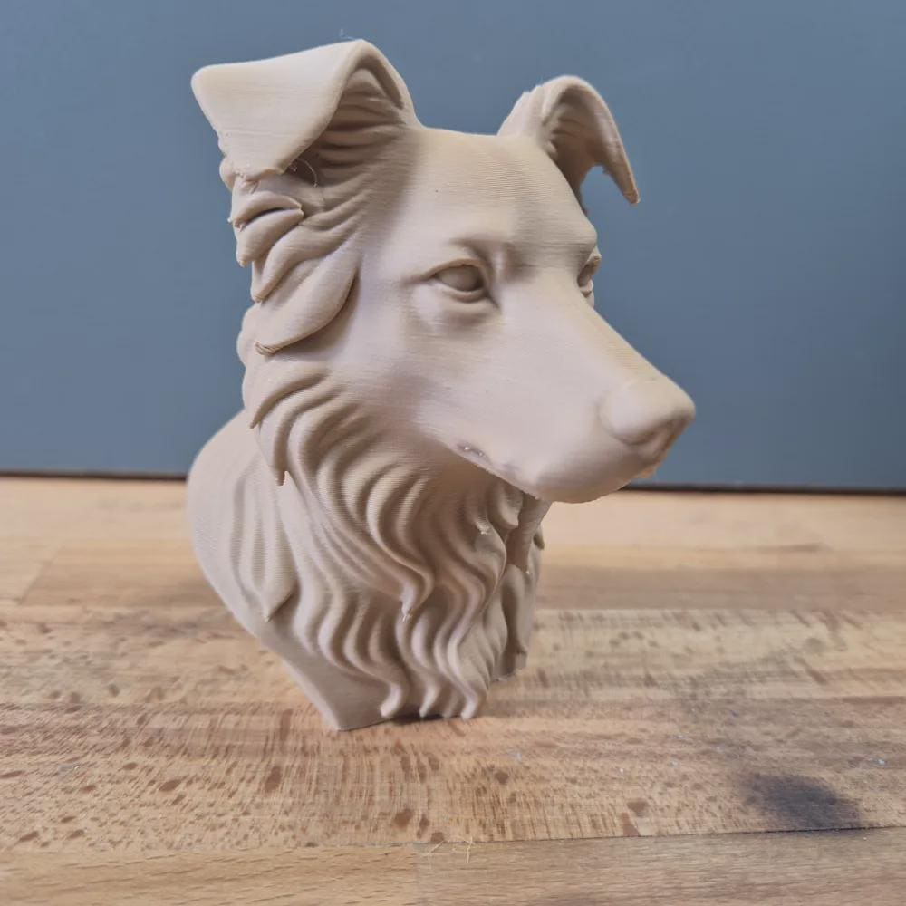 Border Collie Büste / Realistic Border Collie Bust – Handbemalt & Detailliert Fehn-factory.de
