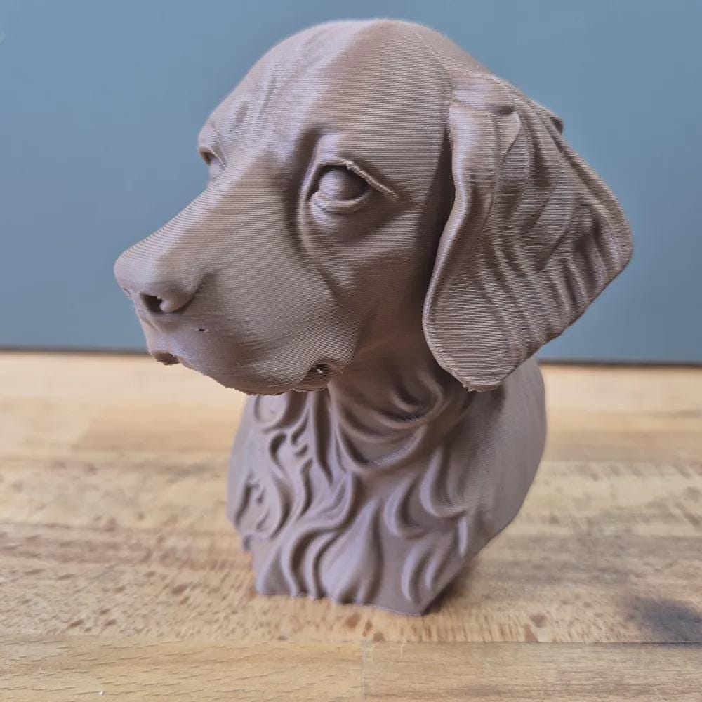 Bretonischer Epagneul Büste / Realistic Brittany Spaniel Bust – Handbemalt & Detailliert Fehn-factory.de