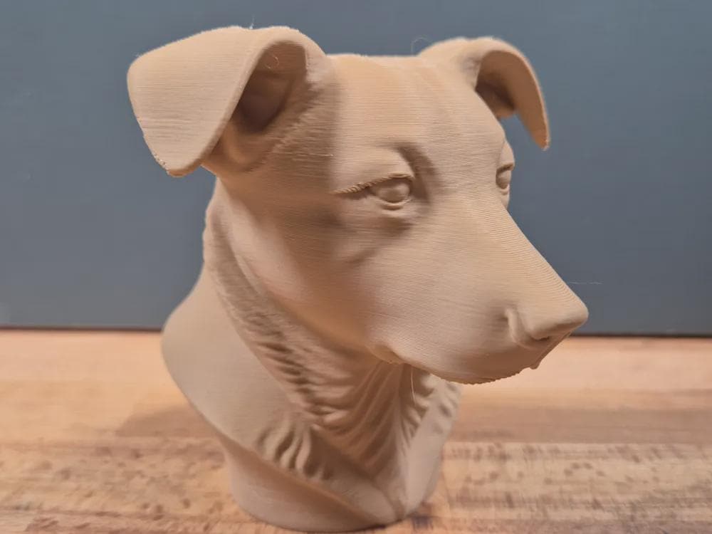 Australian Cattledog mit Hängeohren Büste / Realistic Australian Cattledog (Floppy Ears) Bust – Handbemalt & Detailliert Fehn-factory.de
