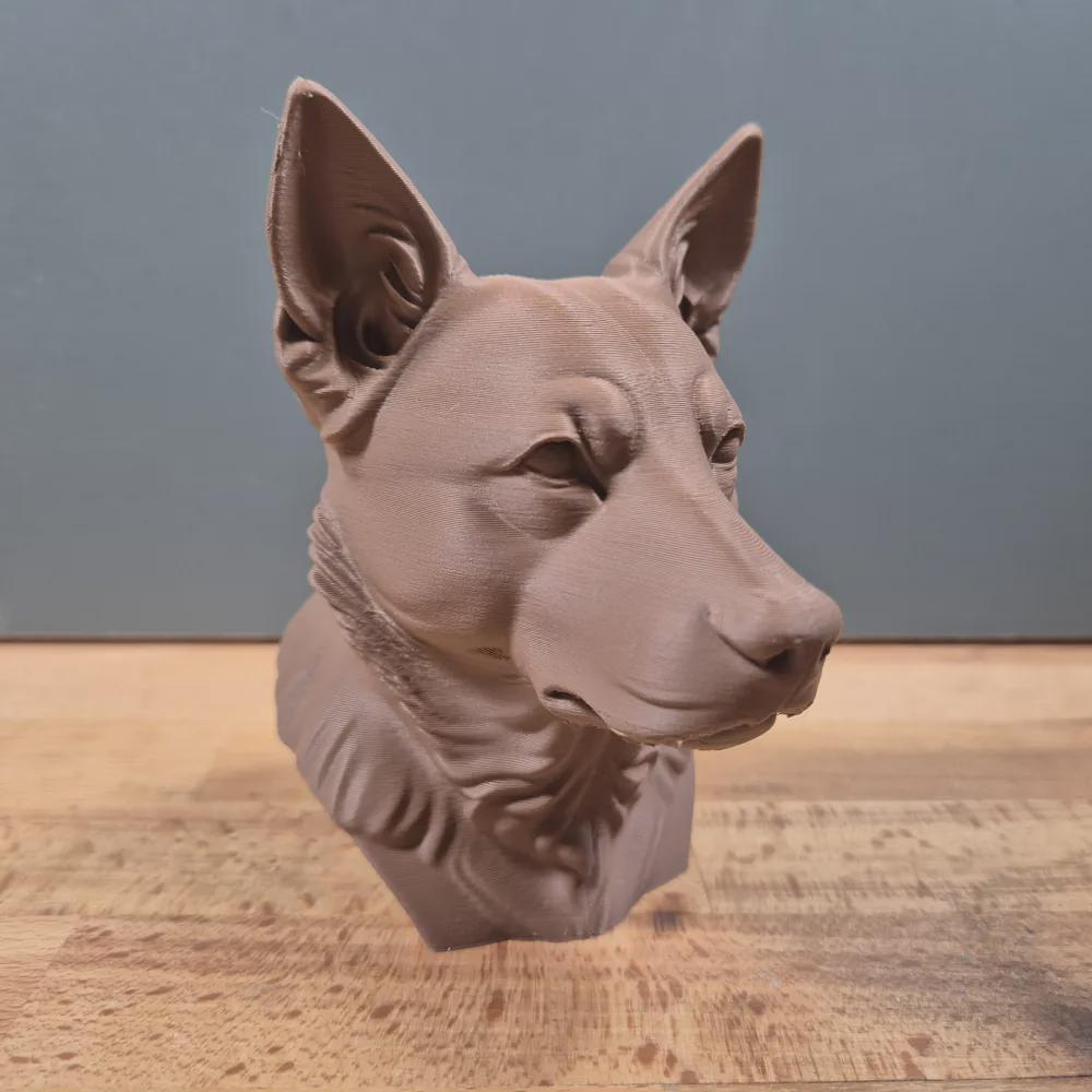 Australian Cattledog Büste / Realistic Australian Cattledog Bust – Handbemalt & Detailliert Fehn-factory.de