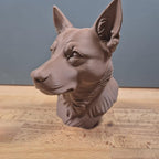 Australian Cattledog Büste / Realistic Australian Cattledog Bust – Handbemalt & Detailliert Fehn-factory.de