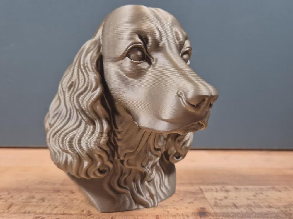 English Springer Spaniel Büste / Realistic English Springer Spaniel Bust – Handbemalt & Detailliert Fehn-factory.de