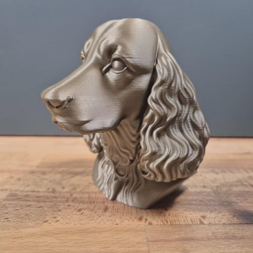 English Springer Spaniel Büste / Realistic English Springer Spaniel Bust – Handbemalt & Detailliert Fehn-factory.de