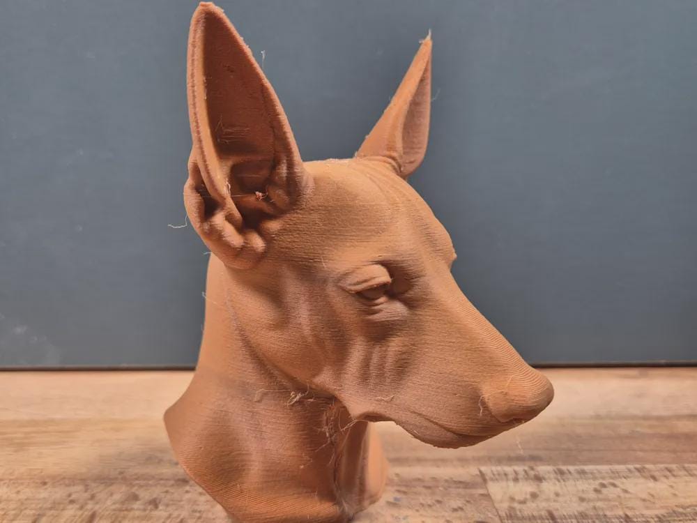 Xoloitzcuintle (Mexikanischer Haarloser Hund) Büste / Realistic Xoloitzcuintle Mexican Hairless Dog Bust – Handbemalt & Detailliert Fehn-factory.de