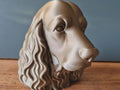 Cocker Spaniel Büste / Realistic Cocker Spaniel Dog Bust – Handbemalt & Detailliert Fehn-factory.de