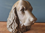 Cocker Spaniel Büste / Realistic Cocker Spaniel Dog Bust – Handbemalt & Detailliert Fehn-factory.de