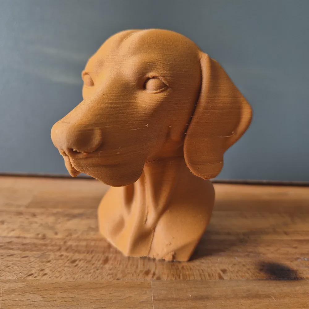 Vizsla Büste / Realistic Vizsla Dog Bust – Handbemalt & Detailliert Fehn-factory.de