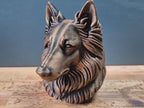 Belgischer Tervuren Büste / Realistic Belgian Tervuren Bust – Handbemalt & Detailliert Fehn-factory.de