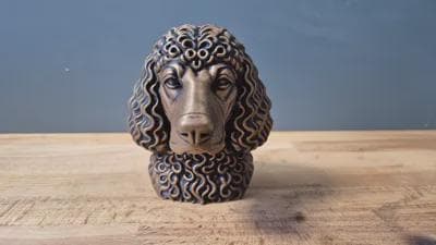 Irish Water Spaniel Büste / Realistic Irish Water Spaniel Bust – Handbemalt & Detailliert Fehn-factory.de