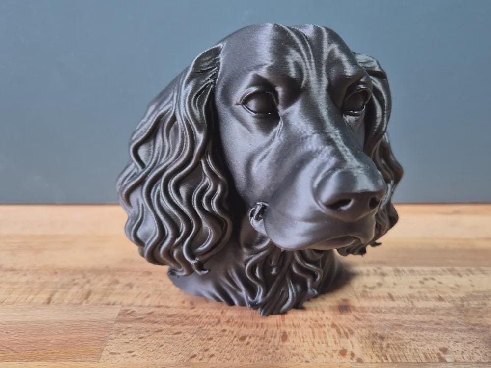 Springer Spaniel Büste / Realistic Springer Spaniel Bust – Handbemalt & Detailliert Fehn-factory.de