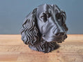 Springer Spaniel Büste / Realistic Springer Spaniel Bust – Handbemalt & Detailliert Fehn-factory.de