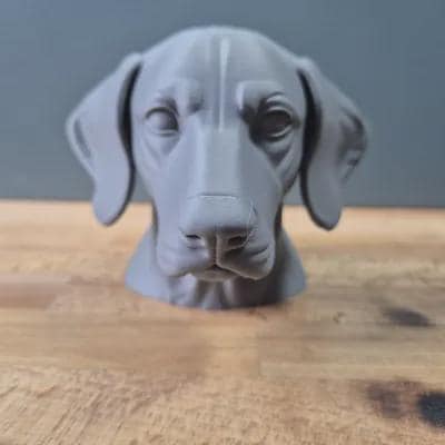 German Shorthaired Pointer Büste / Realistic German Shorthaired Pointer Bust – Handbemalt & Detailliert Fehn-factory.de