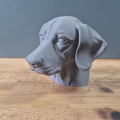 German Shorthaired Pointer Büste / Realistic German Shorthaired Pointer Bust – Handbemalt & Detailliert Fehn-factory.de