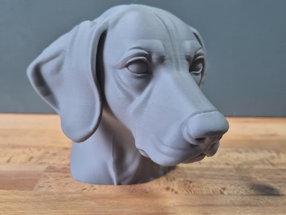 German Shorthaired Pointer Büste / Realistic German Shorthaired Pointer Bust – Handbemalt & Detailliert Fehn-factory.de