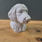 Labradoodle Büste / Realistic Labradoodle Bust – Handbemalt & Detailliert Fehn-factory.de