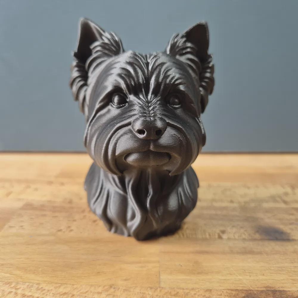 Yorkshire Terrier Büste / Realistic Yorkshire Terrier Bust – Handbemalt & Detailliert Fehn-factory.de