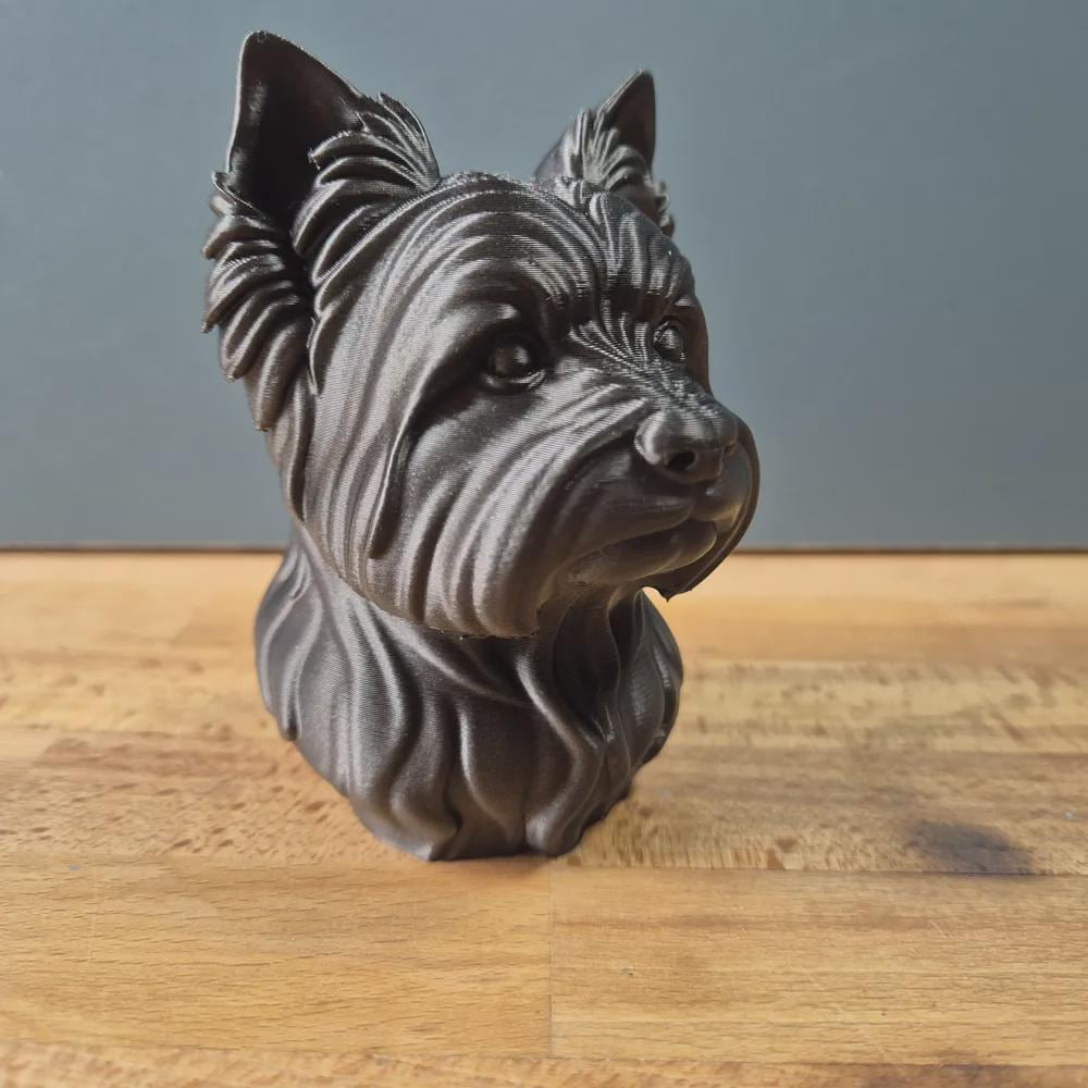 Yorkshire Terrier Büste / Realistic Yorkshire Terrier Bust – Handbemalt & Detailliert Fehn-factory.de
