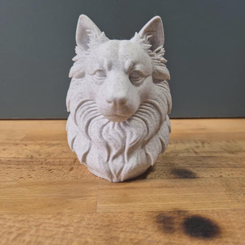 Japanese Spitz Büste / Realistic Japanese Spitz Bust – Handbemalt & Detailliert Fehn-factory.de