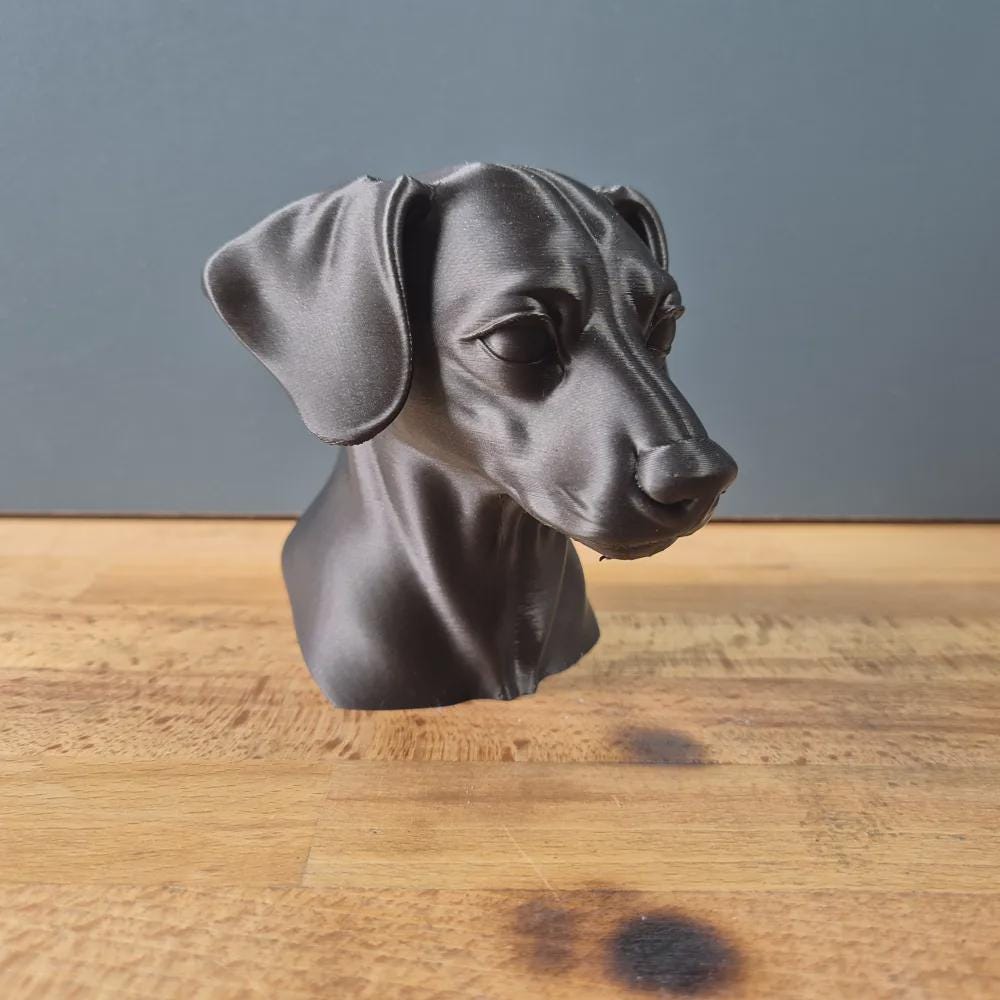 Miniature Pinscher mit Schlappohren Büste / Realistic Miniature Pinscher with Floppy Ears Bust – Handbemalt & Detailliert Fehn-factory.de